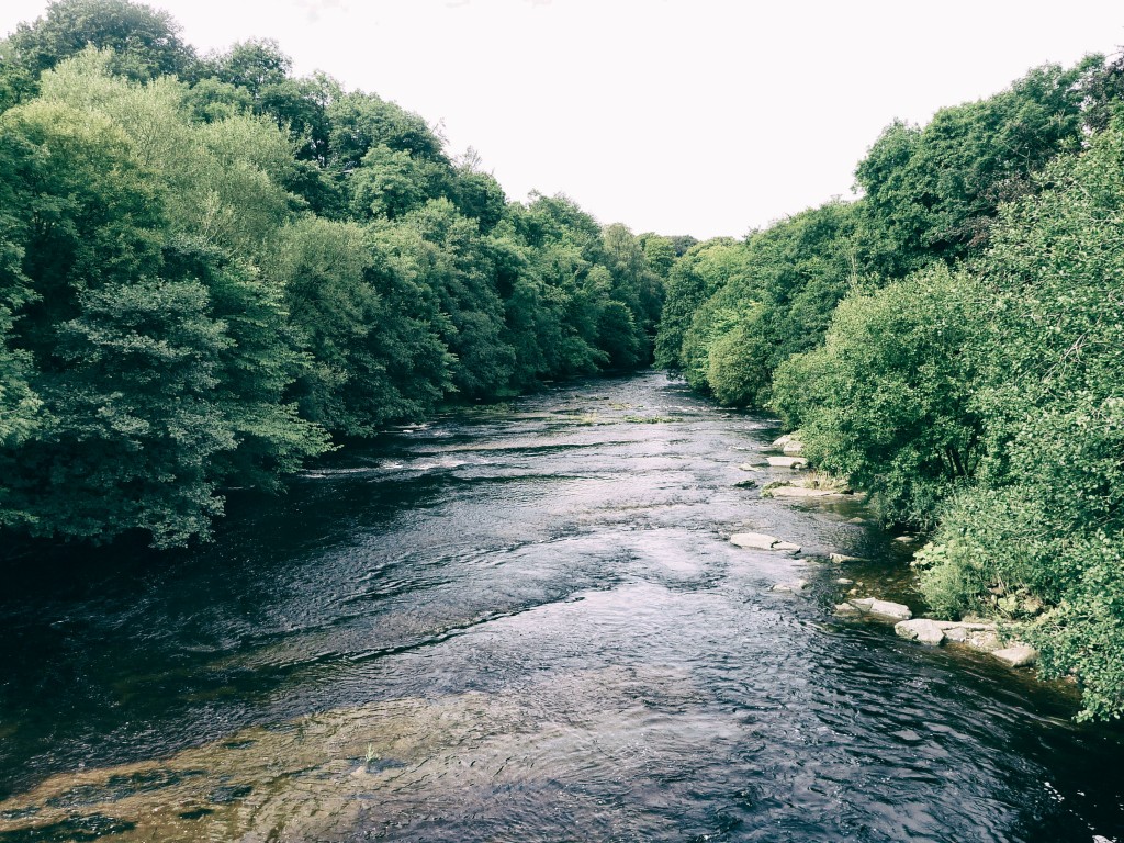 The River Greta