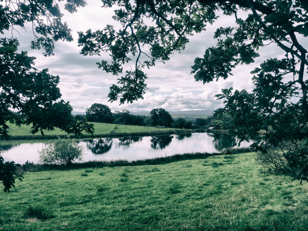 A fishing lake