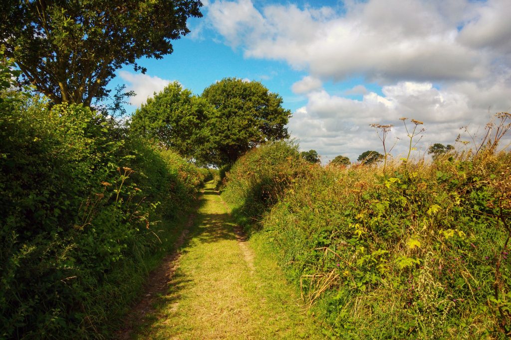 Morning run - footpath near Horning. Norfolk Broads Caravan Club Site, Ludham, Wroxham, Thursday 4th August 2016.