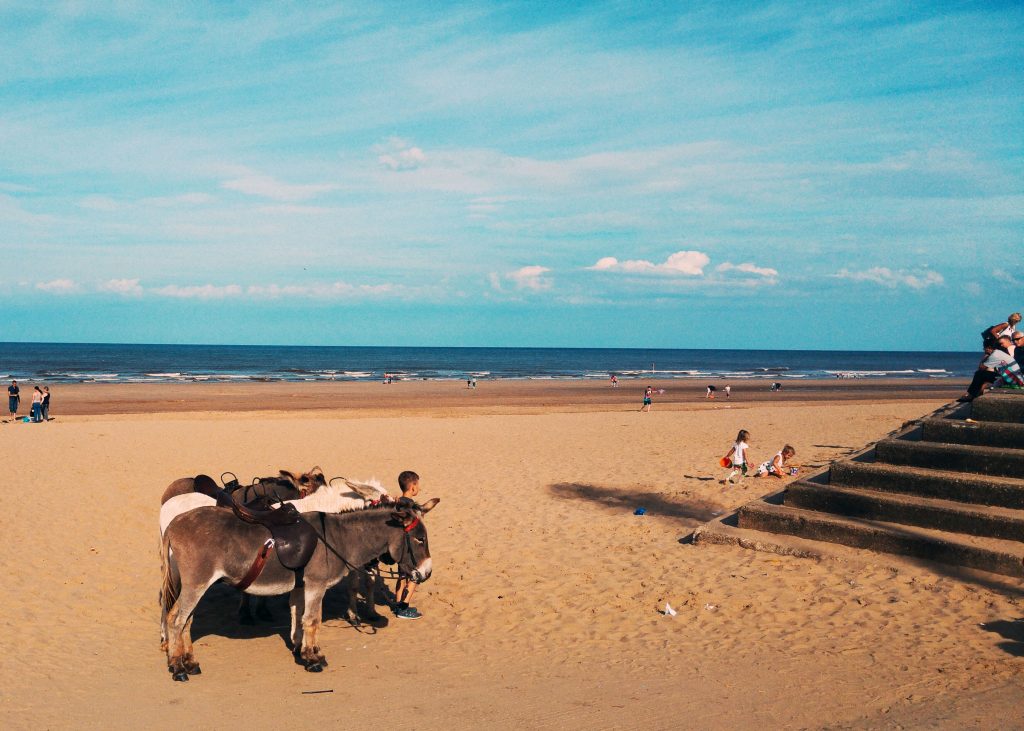 Late afternoon run - Mablethorpe beach. Sutton on Sea Caravan Site, Friday 5th August 2016.