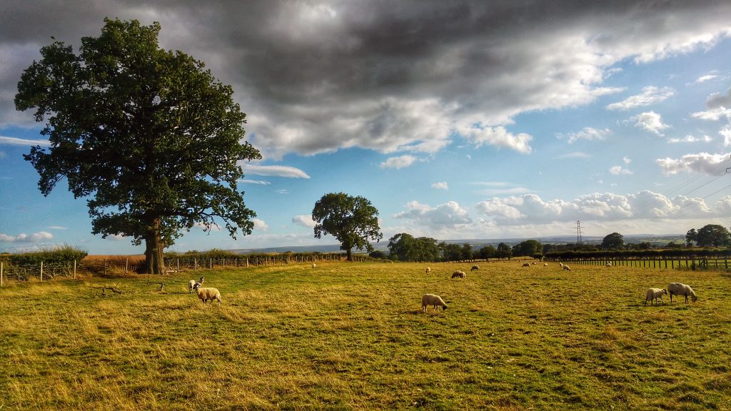 Evening run - Barnard Castle - near Stainton. Teesdale Barnard Castle Caravan Site, Monday 8th August 2016.