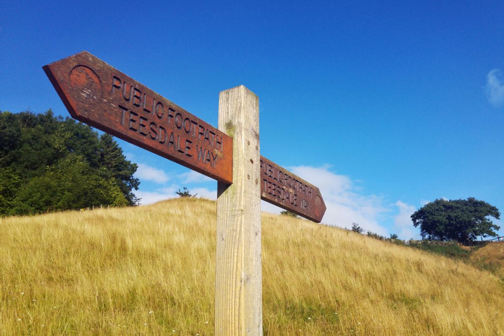 Morning run - Teesdale Way path. Teesdale Barnard Castle Caravan Site, Tuesday 9th August 2016.