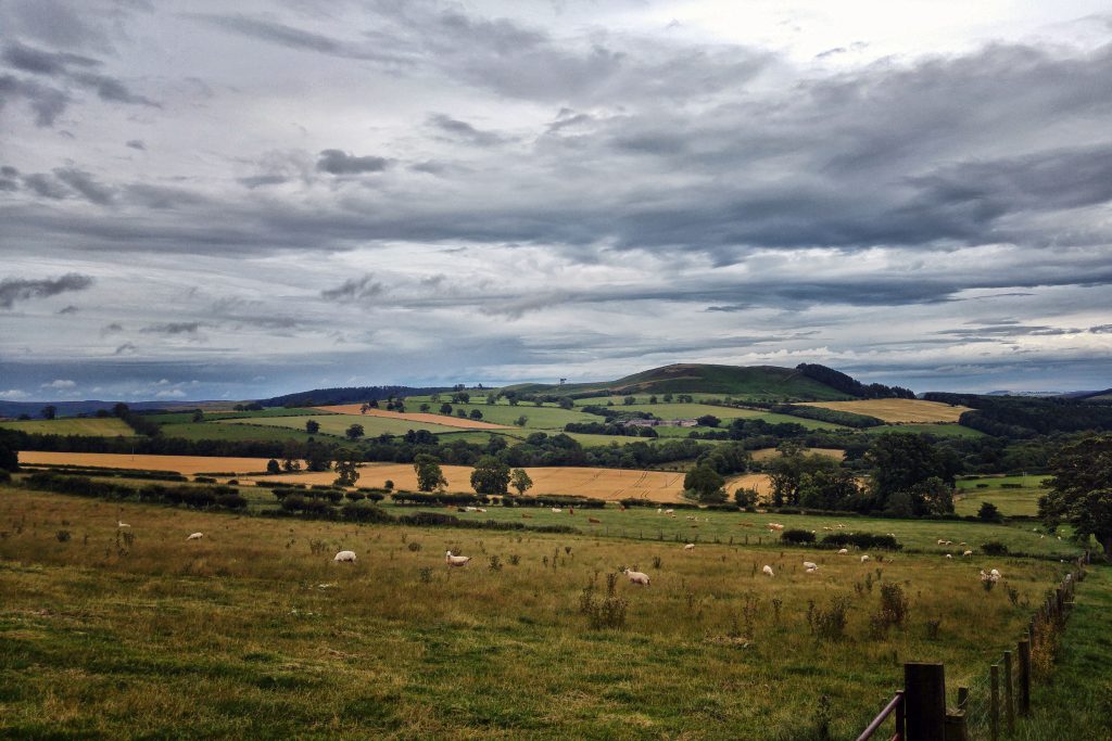 Afternoon run - Glanton. River Breamish Caravan Site, Ingram, Alnwick, Thursday 11th August 2016.