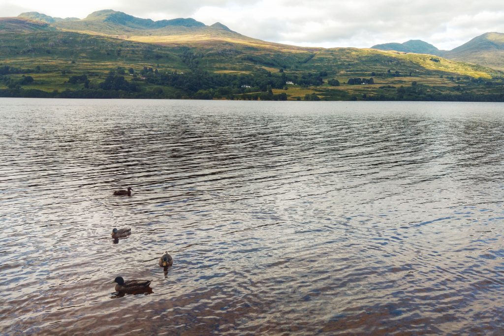 Killin afternoon long run on Cycle Route 7 - Loch Tay. Killin, Maragowan Caravan Site, Sunday 14th August 2016.