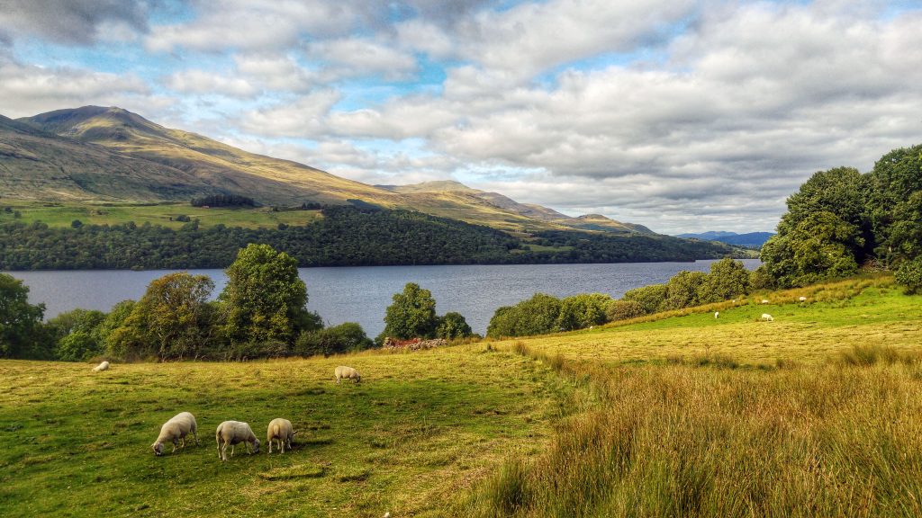 Killin afternoon long run on Cycle Route 7 - Loch Tay. Killin, Maragowan Caravan Site, Sunday 14th August 2016.