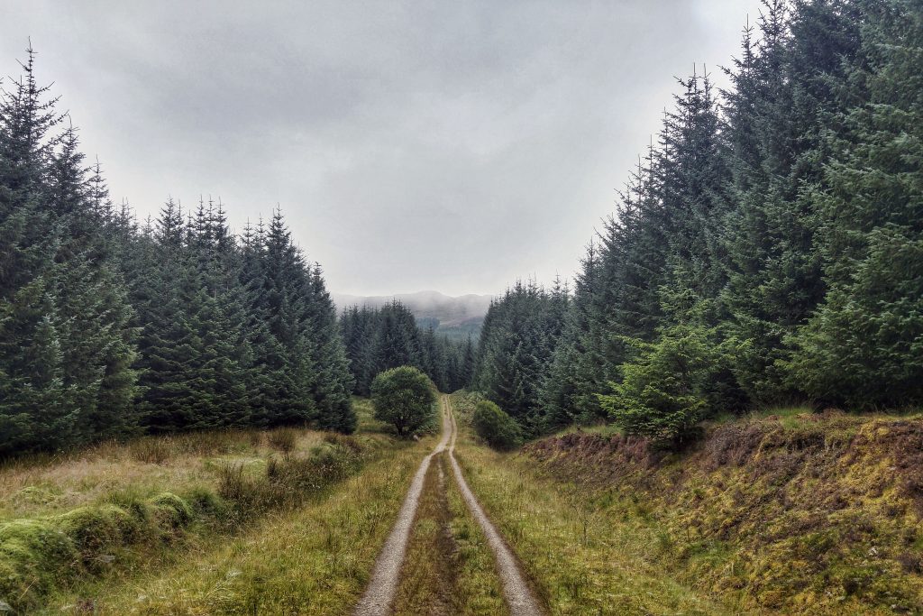 Killin morning run on Cycle Route 7. Killin, Maragowan Caravan Site, Monday 15th August 2016.