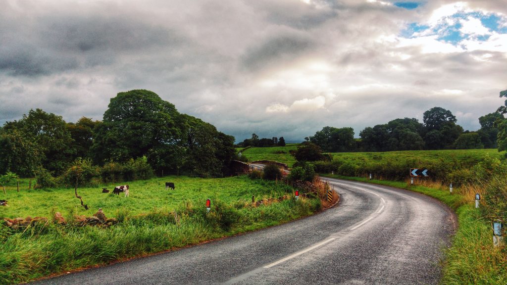 Morning run - Hoff. Wild Rose Caravan Park, Ormside, Appleby-in-Westmorland, Sunday 21st August 2016.